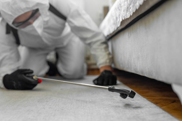 Professional Bed Bug Control technician working in Santa Rosa, NM
