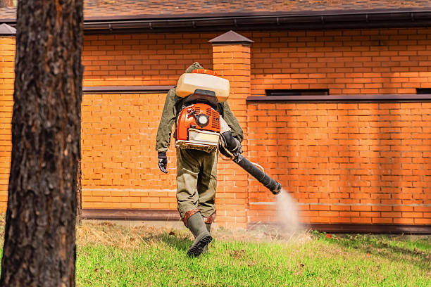 Trusted Cockroach Control service in Santa Rosa, NM - Nex Pest Control